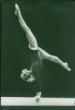 Mistrovství světa v gymnastice. Dortmund 1966
