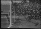 Mistrovství světa v Itálii 1934, zápas ČSR-Německo