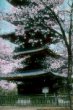 Pagoda u svatyně Tóšógú